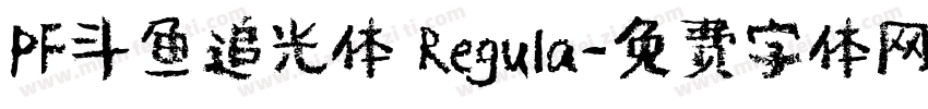 PF斗鱼追光体 Regula字体转换